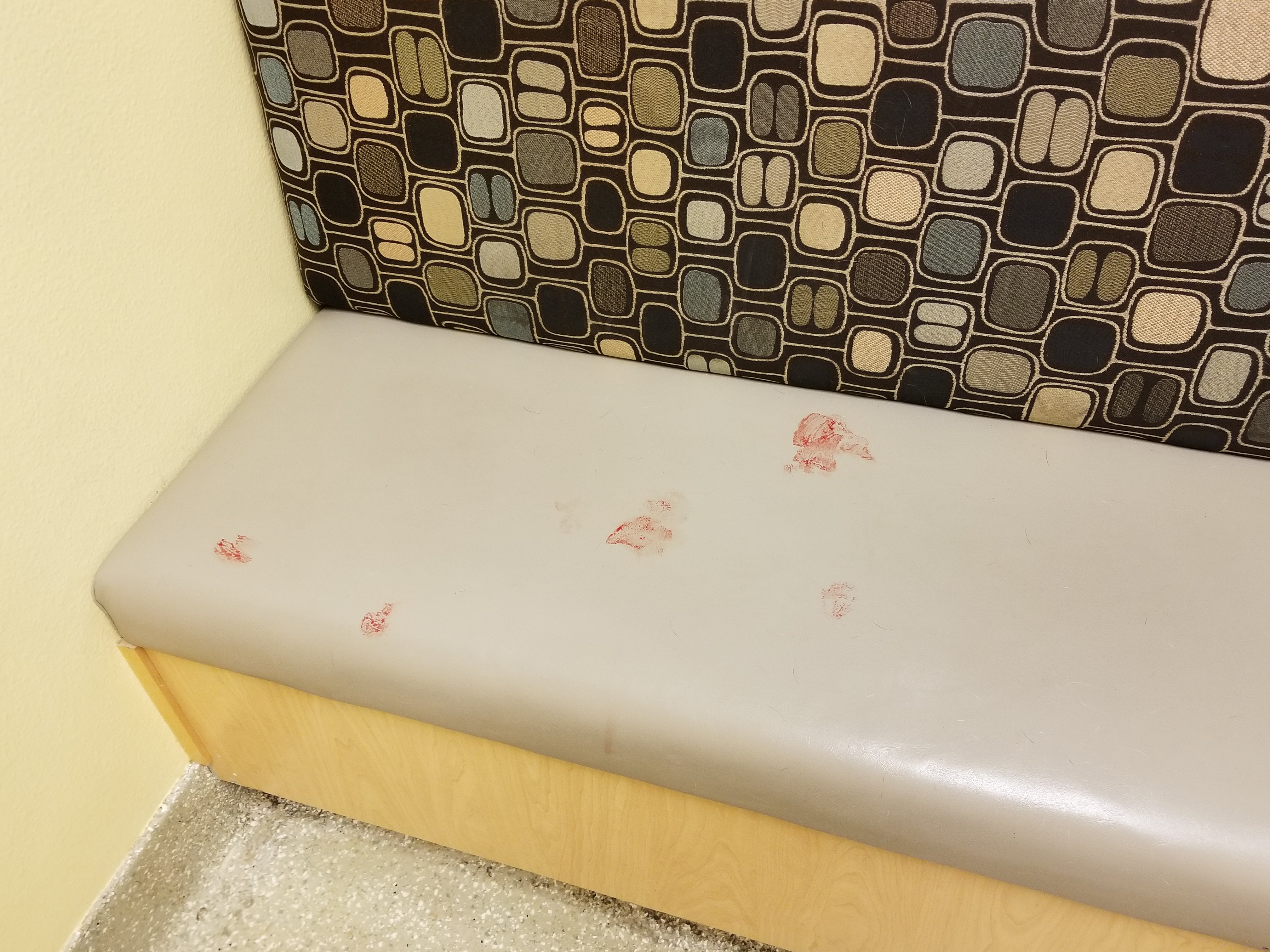bleeding dog paws
