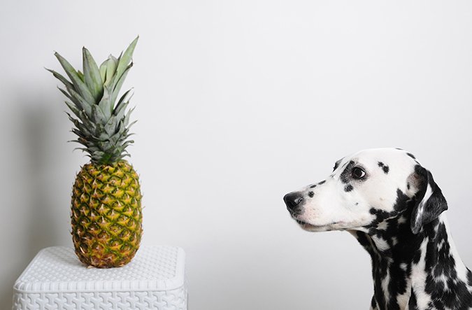 pineapple for dogs