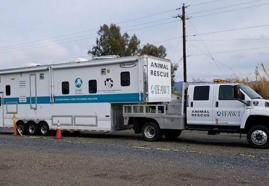 Lessons From the Camp Fire Aftermath