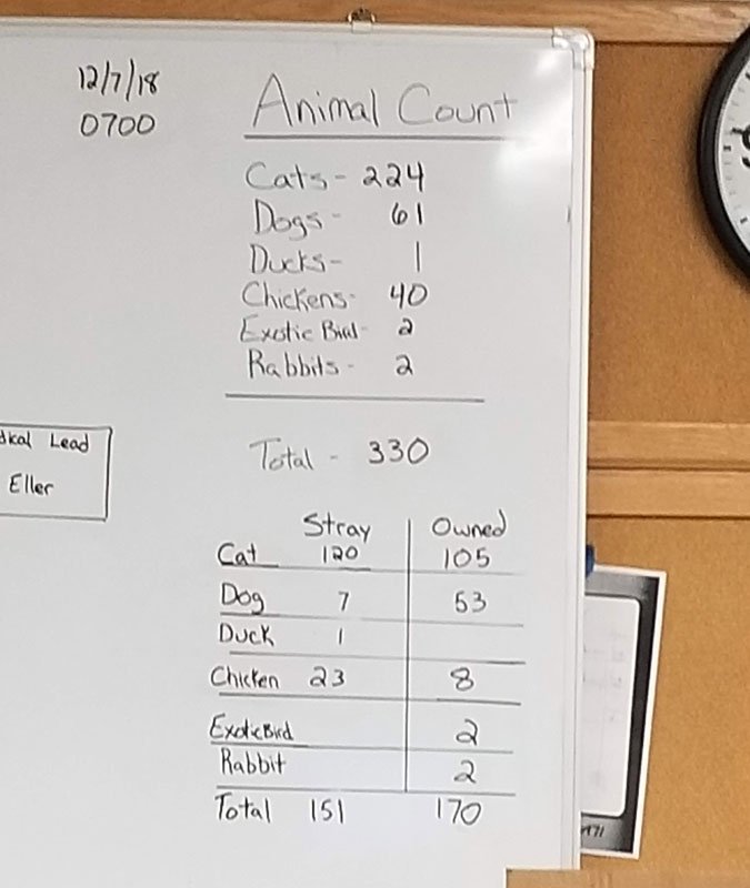 number of camp fire animal rescues in oroville