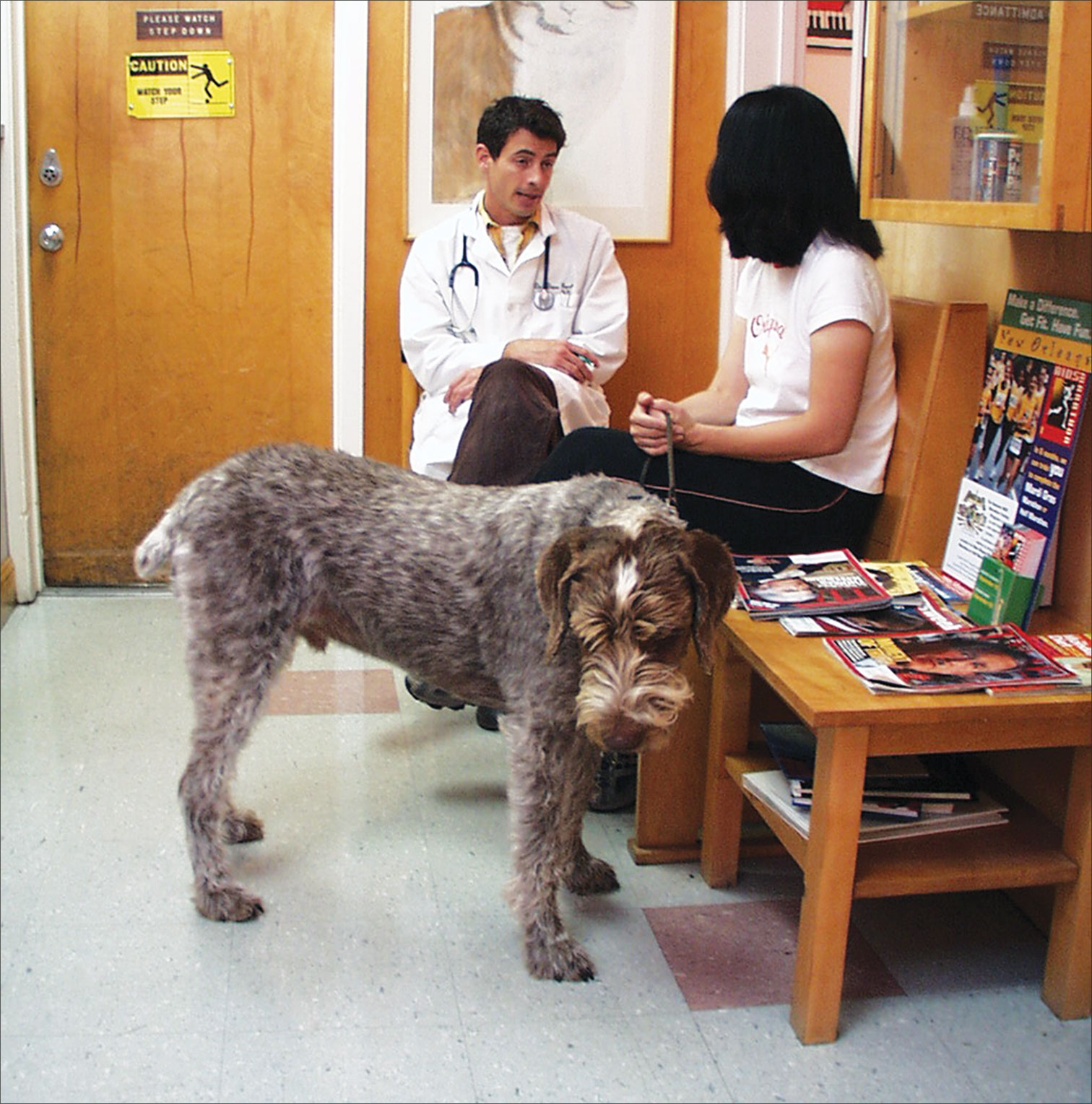 dog in vet waiting room