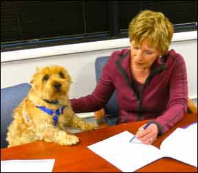 A small dog sits in a chair with his front paws on a conference table at an attorney's office. He has a worried expression. His owner, a woman, appears to be reading a paper copy of a Trust to him.