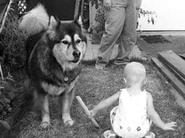 Preparing Your Dog For a Newborn Baby