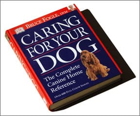 Caring For Your Dog