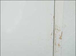 Compulsive scratching at doors can indicate separation anxiety in dogs which is causing them to act out.