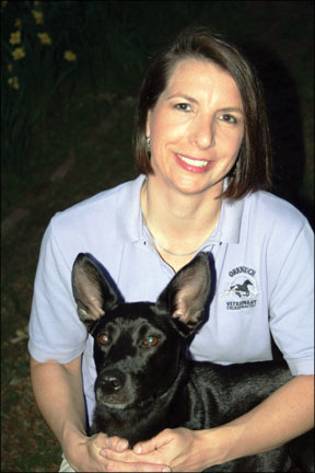 Canine Veterinary Rehabilitation