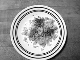 Growing Dog-Healthy Herbs