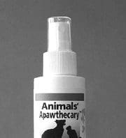 remedies for itchy skin in dogs