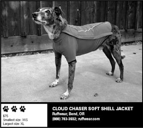 Cloud Chaser Soft Shell Jacket