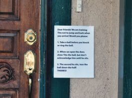 Training and reinforcement are how to stop a dog from darting out the door.