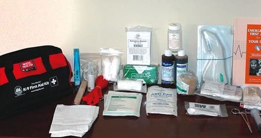 What is needed in a first aid kit for dogs, and what is inessential.