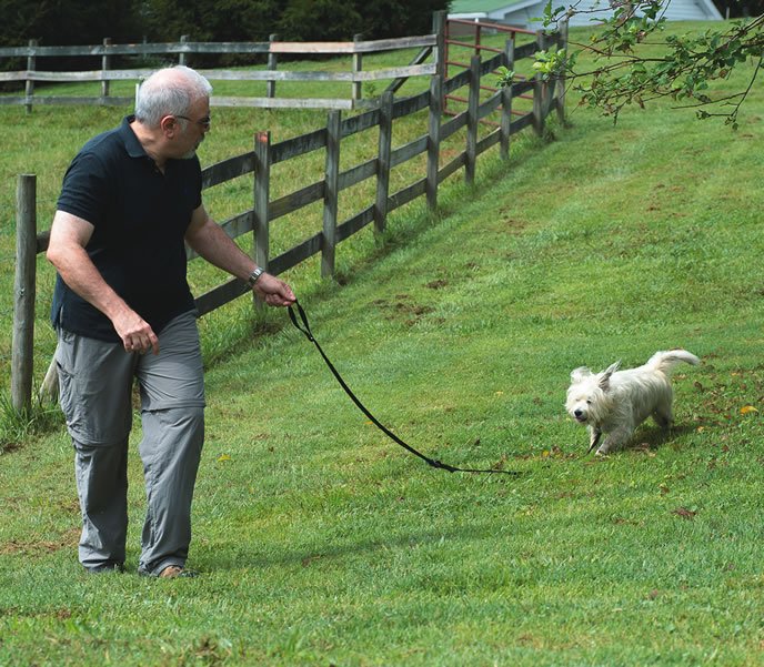 dog leash games