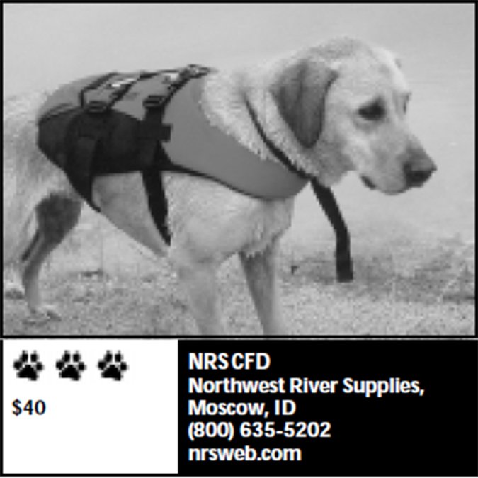Northwest River Supplies dog life jacket