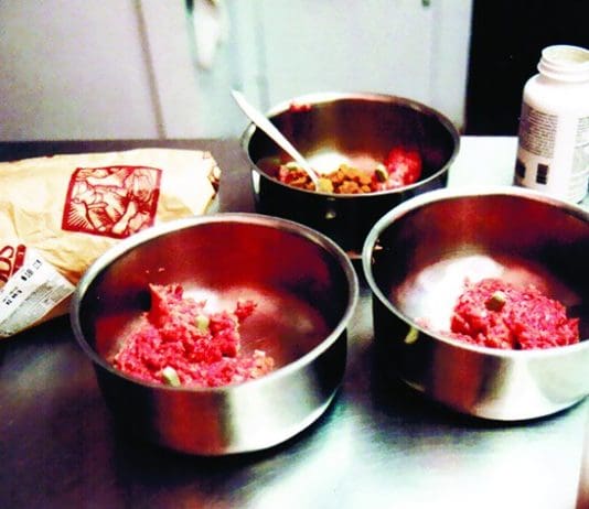 An elimination diet for dogs may help an allergic dog, but it depends on finding out what the allergy is.