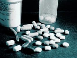 Your Dog & The “Placebo Effect”