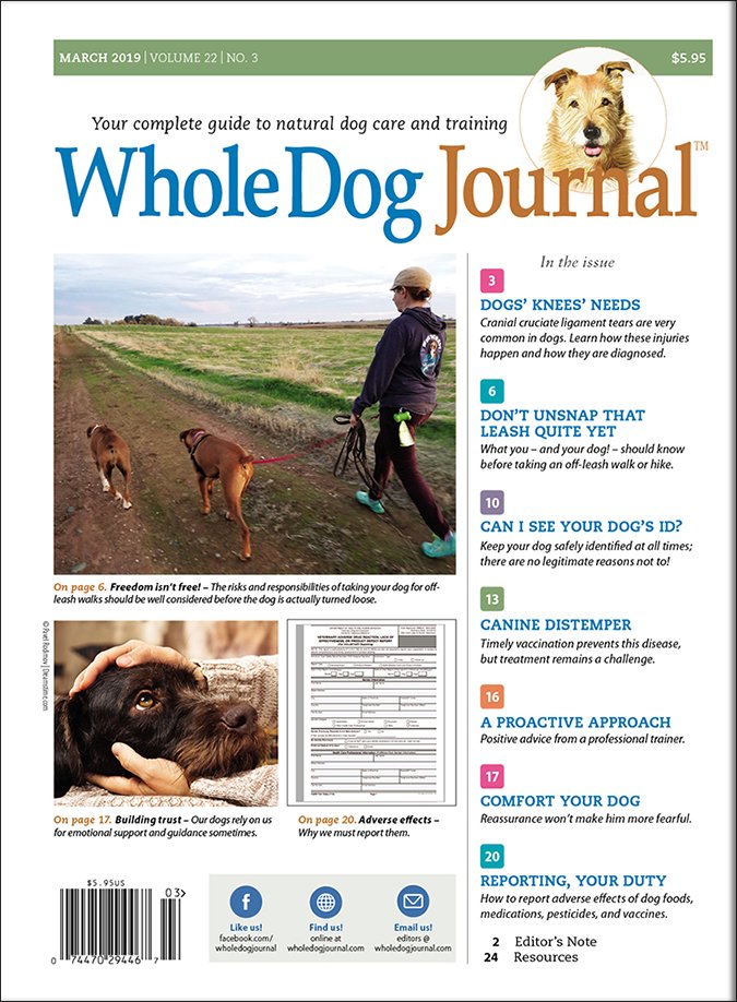 whole dog journal