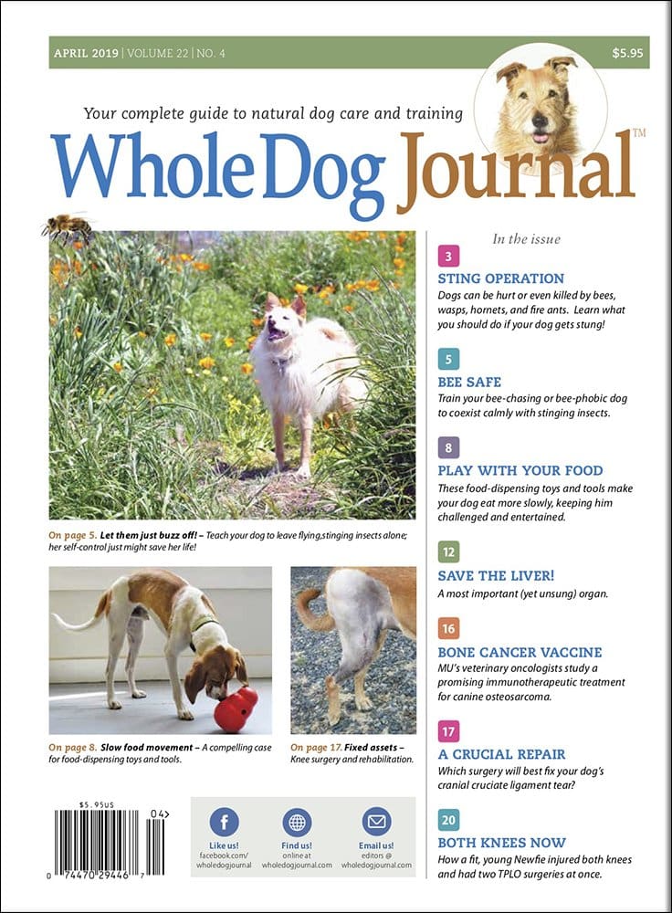 whole dog journal