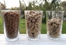Soaking dry dog food in water can make it easier to swallow for senior dogs.