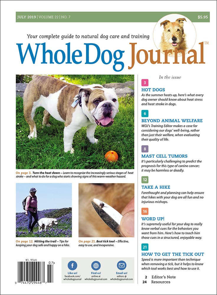 Whole Dog Journal June 2019