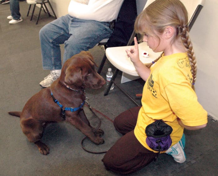 A girl uses handsignals to train her puppy