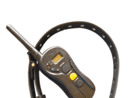 Vibration Collars: What You Should Know