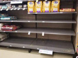 Pet Food Shortages? Don’t Panic