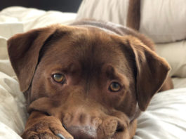 Affection Can’t Hurt