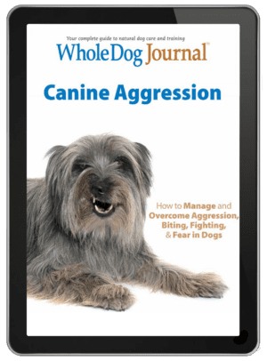 Canine Aggression eBook