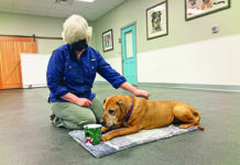 Cooperative care for dogs