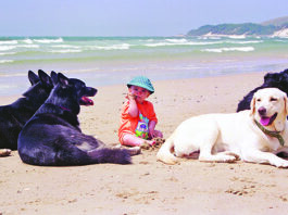 The Best Age for Kids to Get a Dog The best age for kids to get a dog can vary widely depending on the nature of the kid.