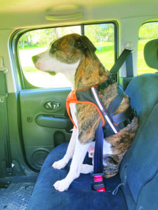 Dog Car Harnesses Review