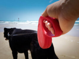 Pitfalls of Retractable Leashes