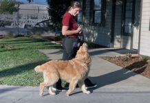 leash walking