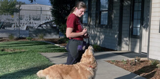 leash walking