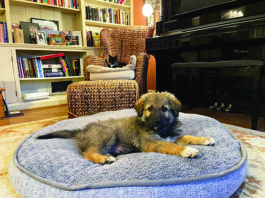 reinforce good behavior