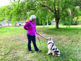 Tactical Extraction: Leash Pressure Dog Training leash pressure dog training