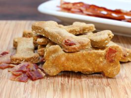 homemade diy dog treats meat biscuits