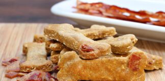 homemade dog treats meat biscuits