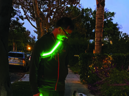 high visibility clothing and dog walking gear