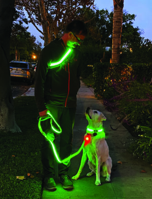 high visibility clothing and dog walking gear