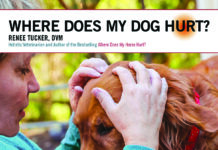 where does my dog hurt book cover