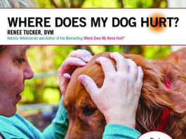 Learn How to Tell Where Your Dog Hurts where does my dog hurt book cover