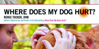 where does my dog hurt book cover