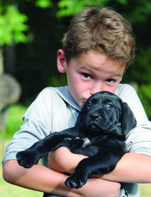 child holding puppy