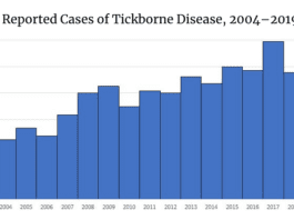 tick chart