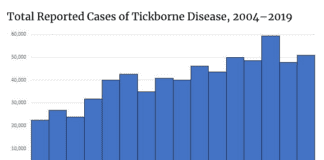 tick chart