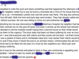 facebook post about local vet