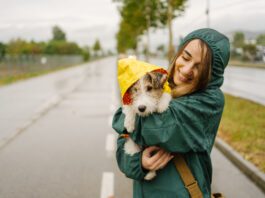 Which Dogs Need Raincoats?