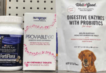 probiotics for dogs