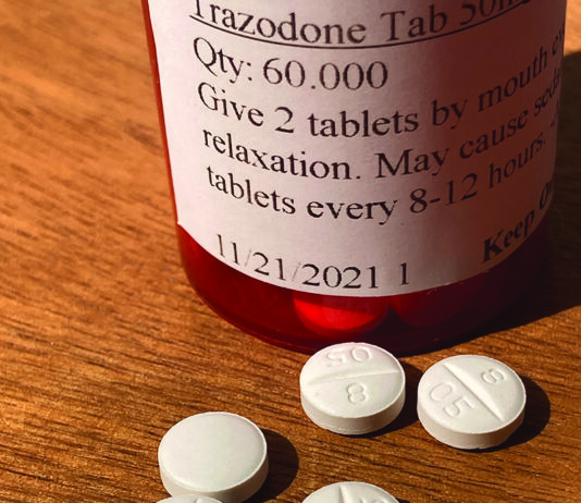 trazodone for dogs